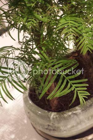 20150903_203355%20copia_zpsuk9lkxxh.jpg