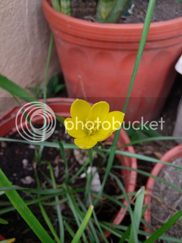 20150913_122658_zpsgtvw04ad.jpg