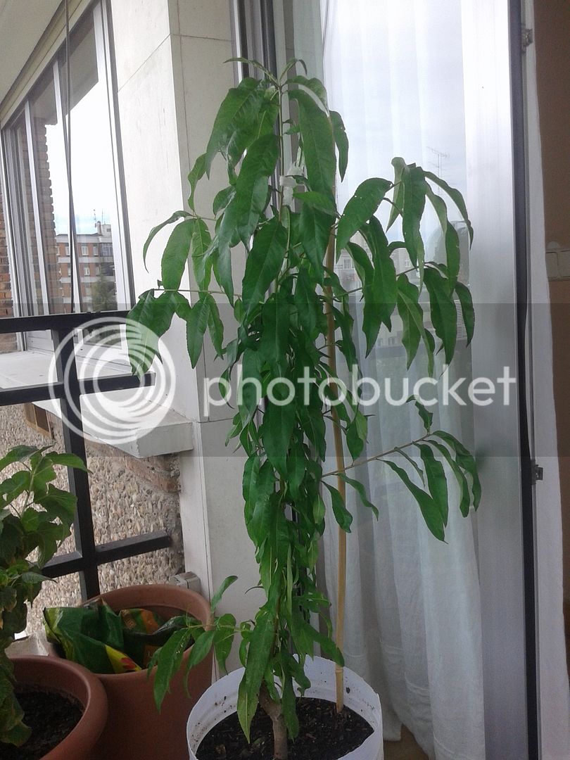 20150923_160122_zpsbzd9ucyt.jpg