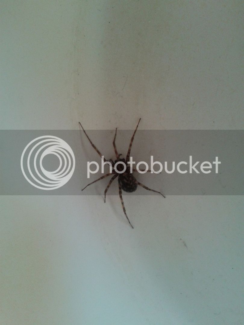 20151219_114429_zpsxu0ccvkw.jpg