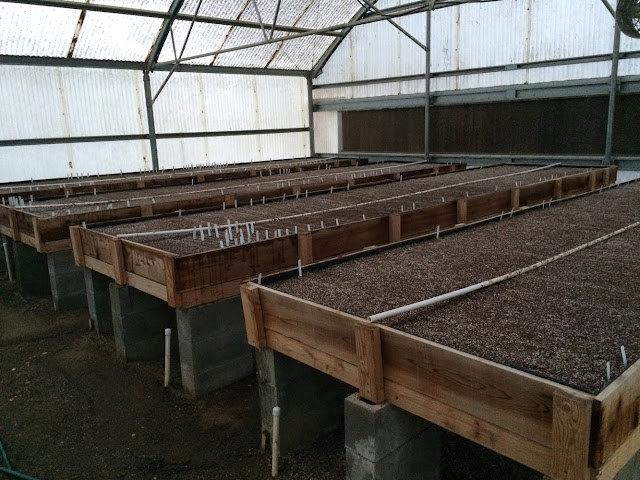 2016%2BSeeds%2BPlanted.jpg