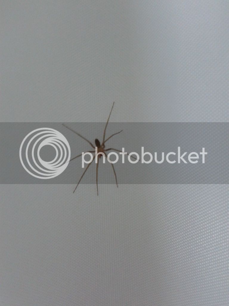20160103_225951_zpsqrrxo7et.jpg