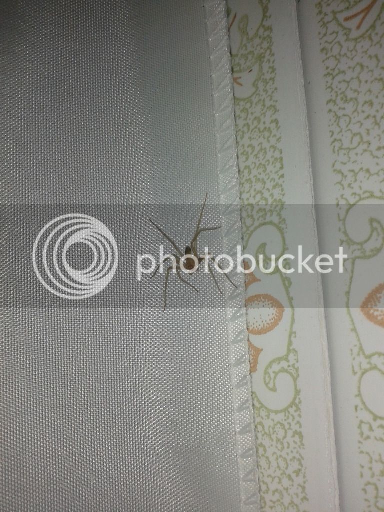 20160103_230128_zpstx7je7xn.jpg