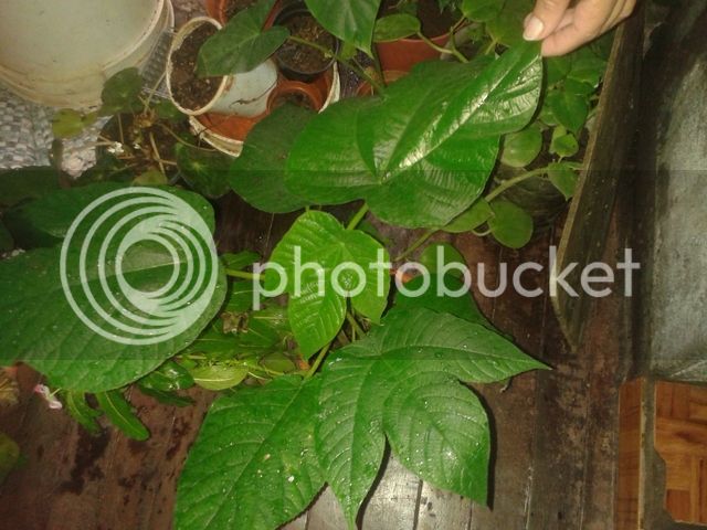 20160112_074938.jpg