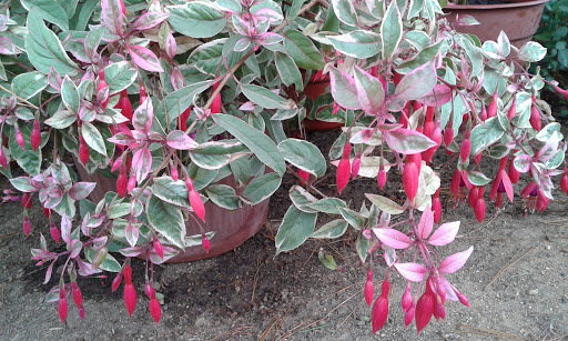 20160313_155704.jpg