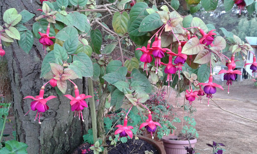 20160313_155747.jpg