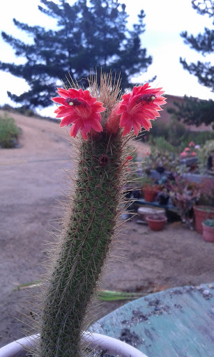 20160316_184749.jpg