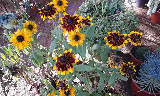 20160317_171035.jpg