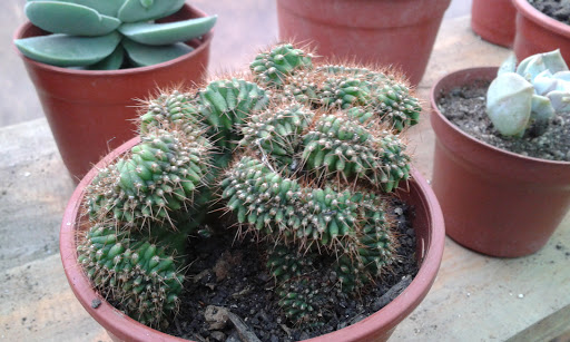 20160324_190210.jpg