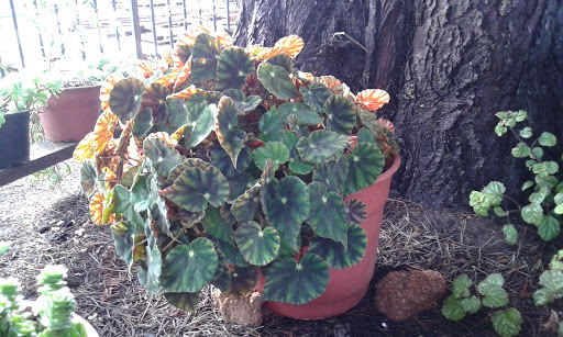 20160416_174734.jpg