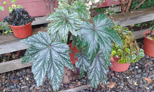 20160417_113902.jpg