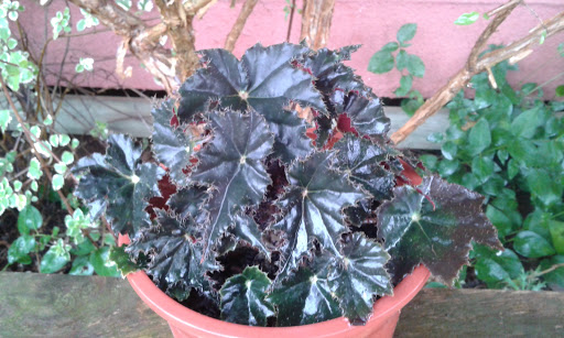 20160417_113945.jpg