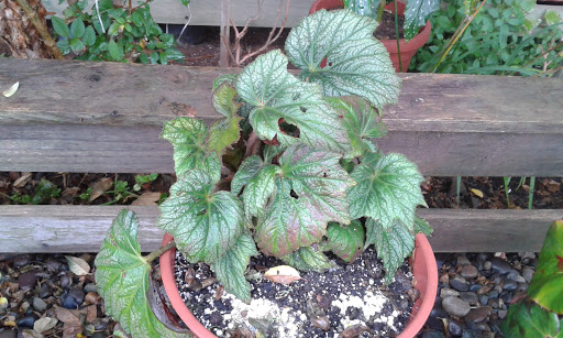 20160417_114019.jpg