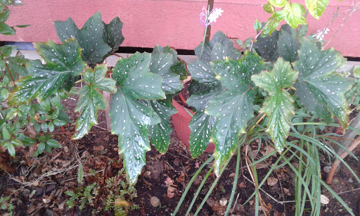 20160417_114032.jpg