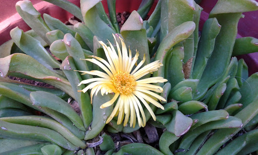 20160420_121328.jpg