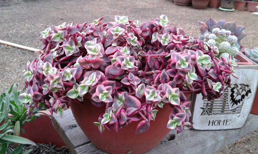 20160420_175813.jpg