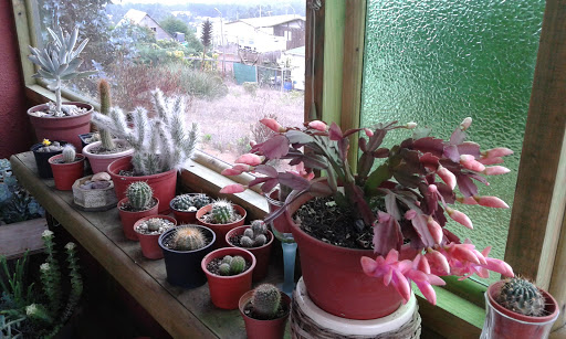 20160422_152549.jpg