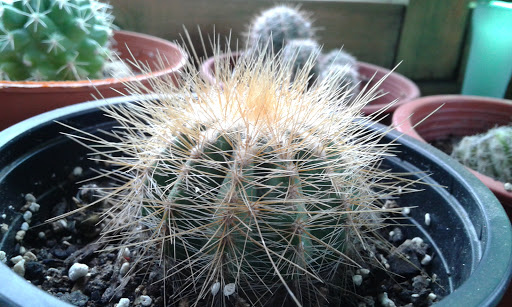 20160422_153106.jpg