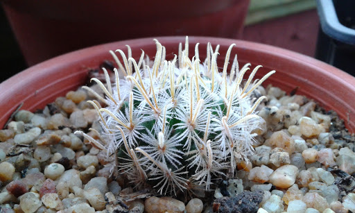 20160422_153155.jpg