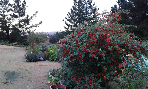 20160423_182207.jpg