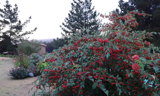 20160423_182214.jpg