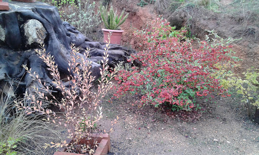 20160423_182235.jpg