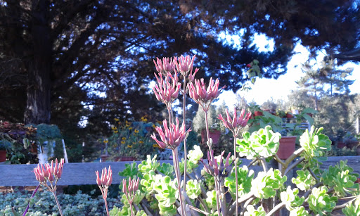 20160426_170114.jpg