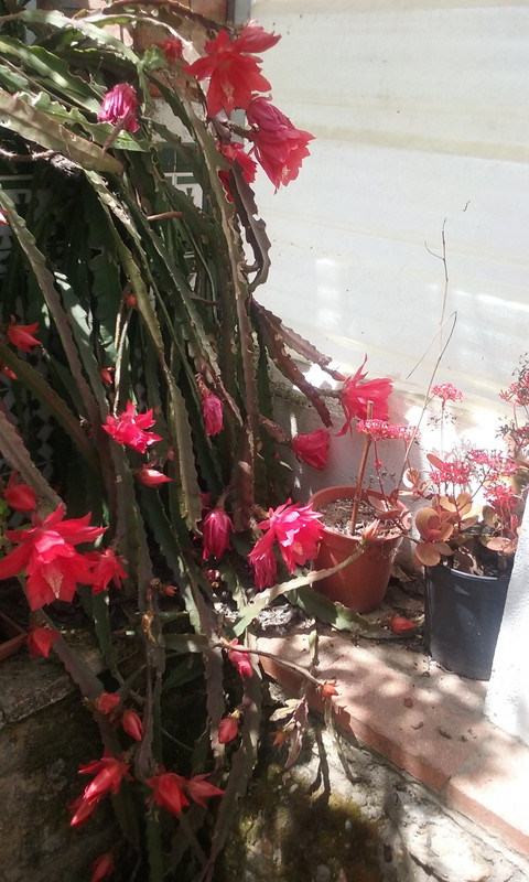 20160428_145659.jpg