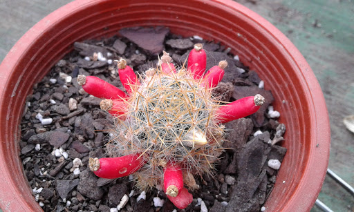 20160502_175328.jpg