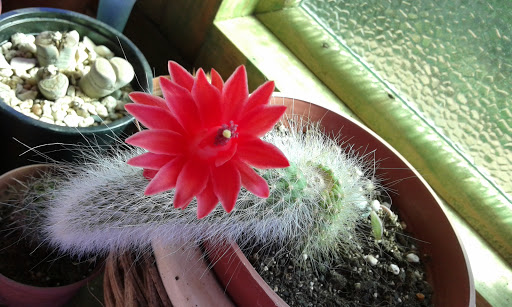 20160503_143959.jpg