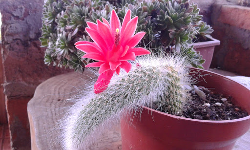 20160503_162011.jpg
