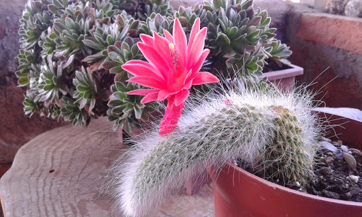 20160503_162021.jpg