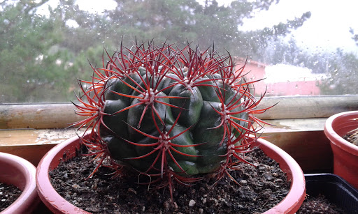 20160504_160909.jpg