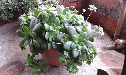 20160504_163058.jpg