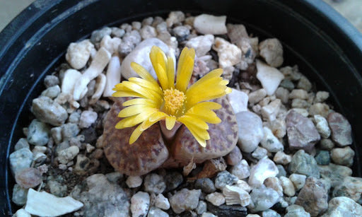 20160505_152909.jpg