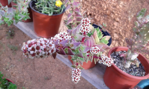 20160505_170234.jpg