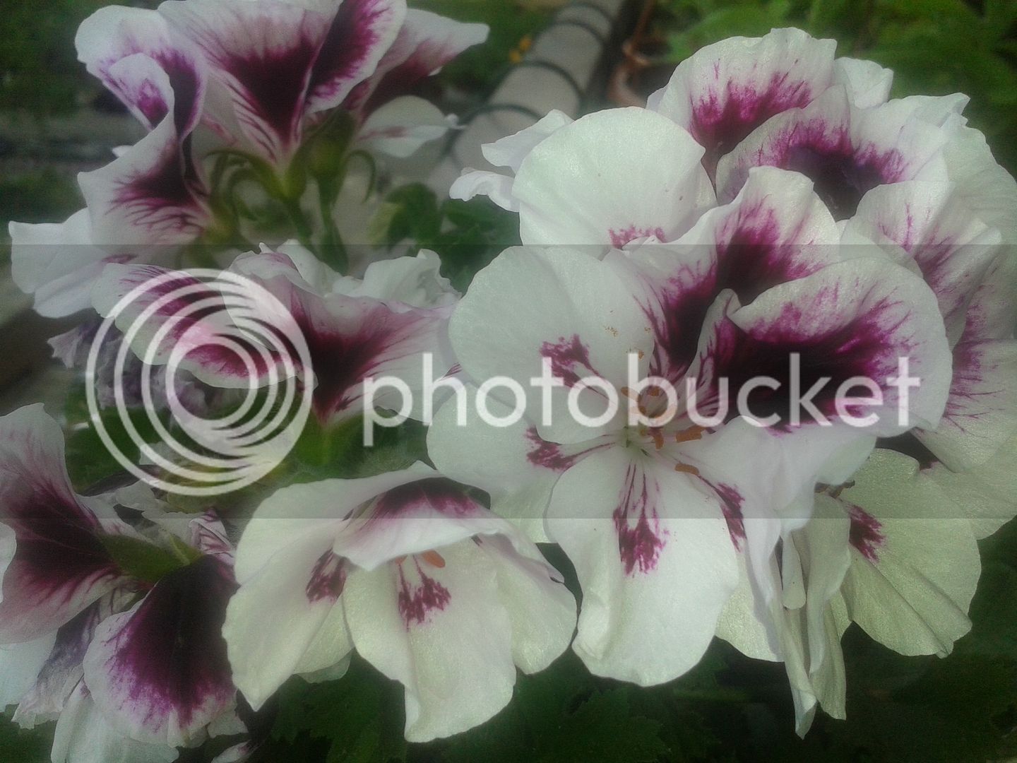 20160507_150936.jpg