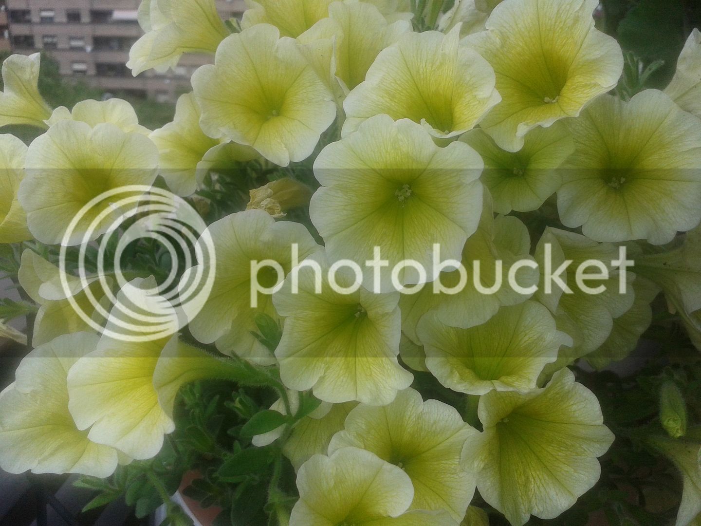 20160507_151037.jpg