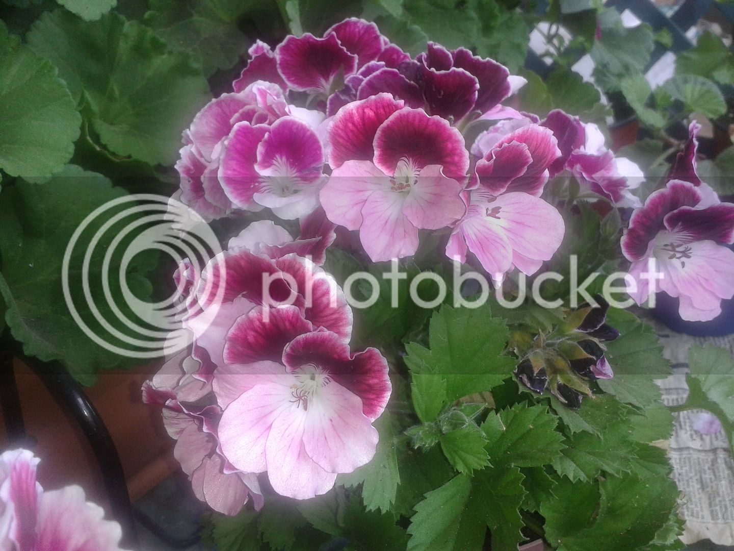 20160507_151101.jpg
