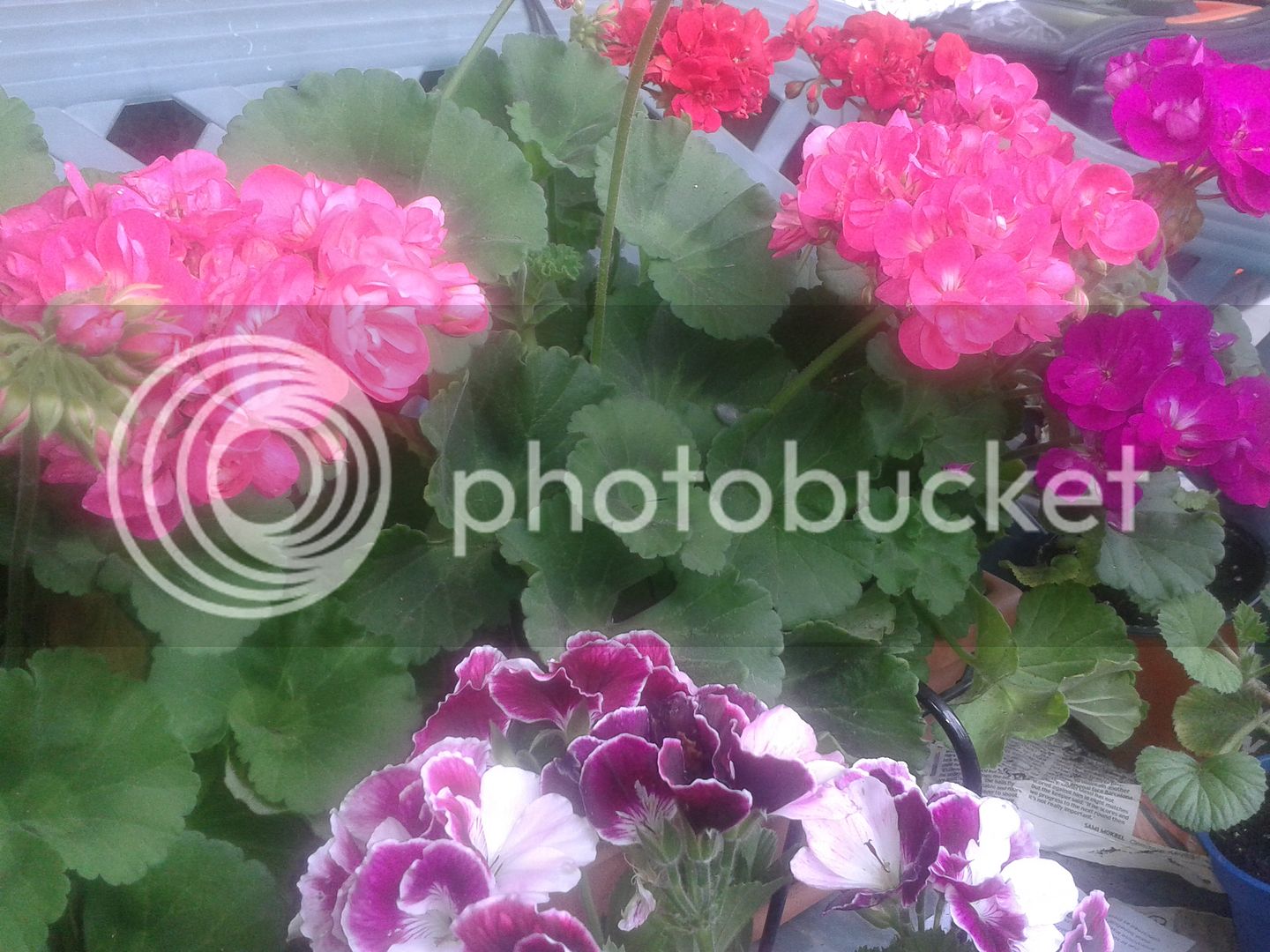 20160507_151115.jpg