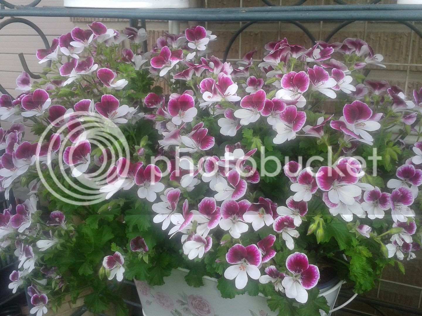 20160507_151142.jpg