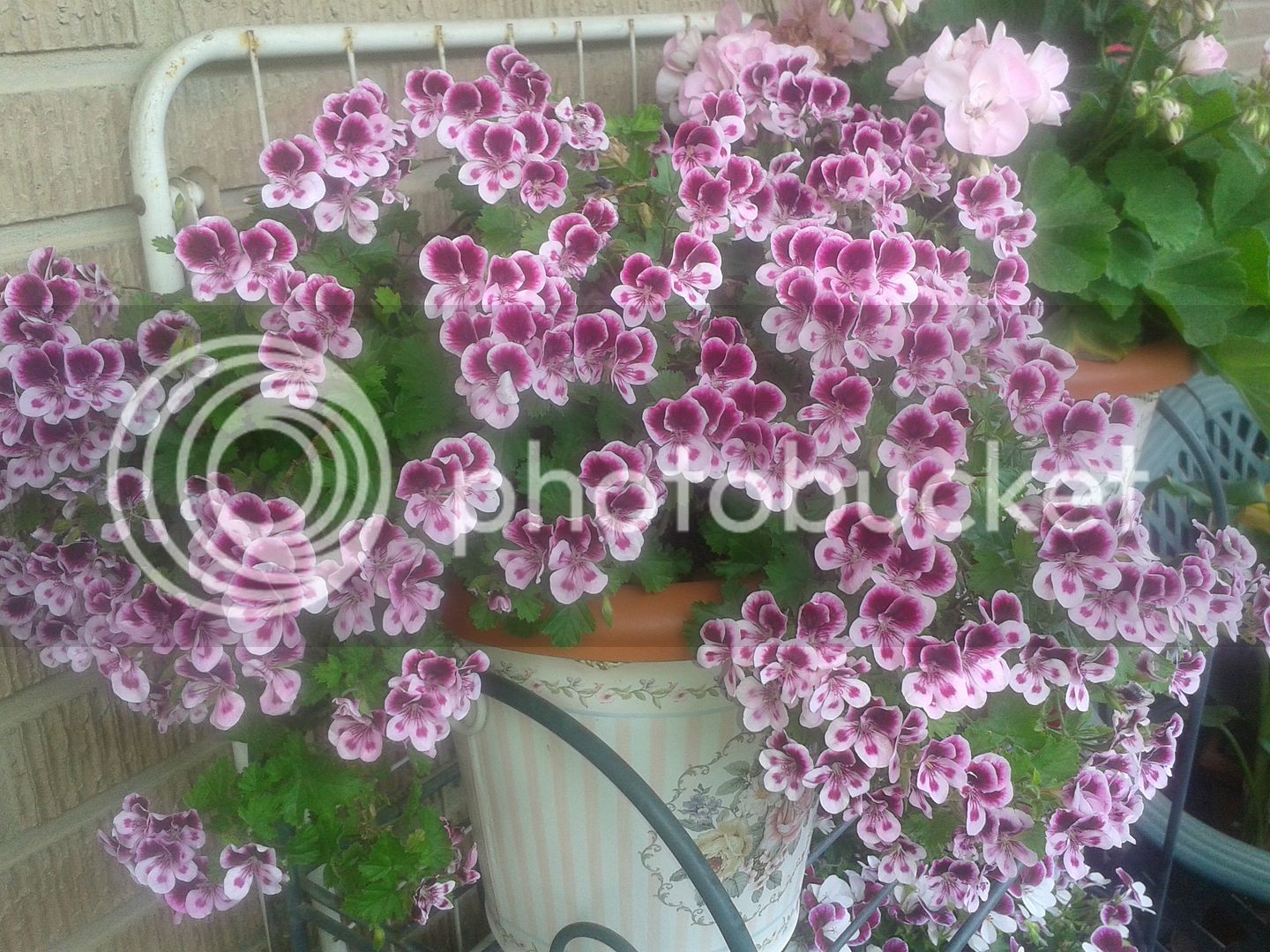 20160507_151220.jpg