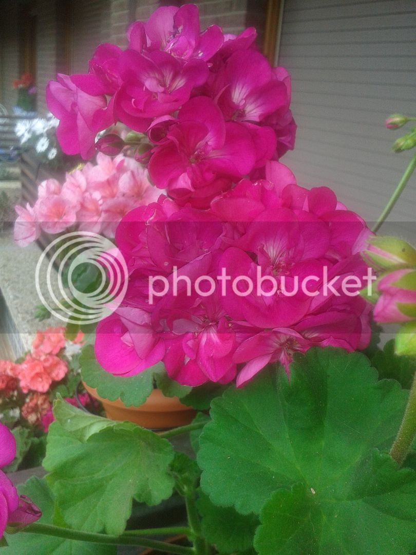 20160507_151337.jpg