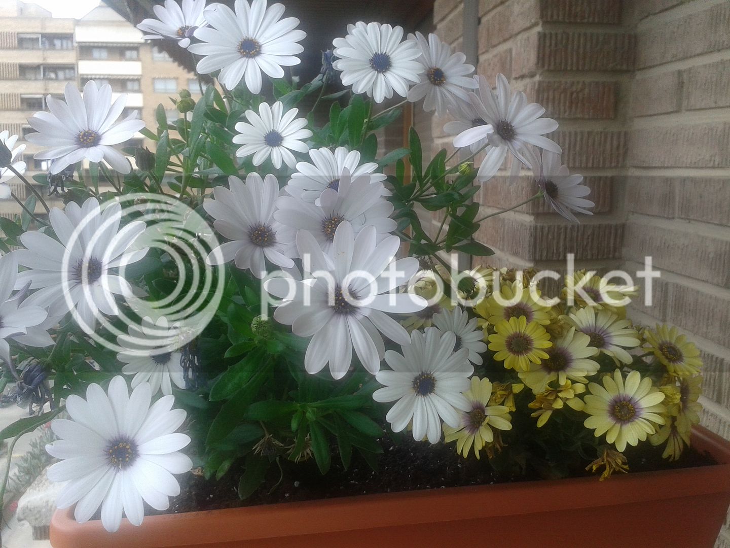 20160507_151440.jpg