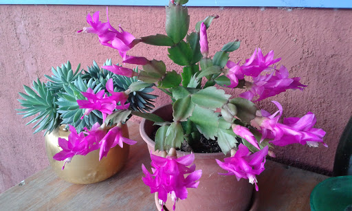 20160508_095620.jpg