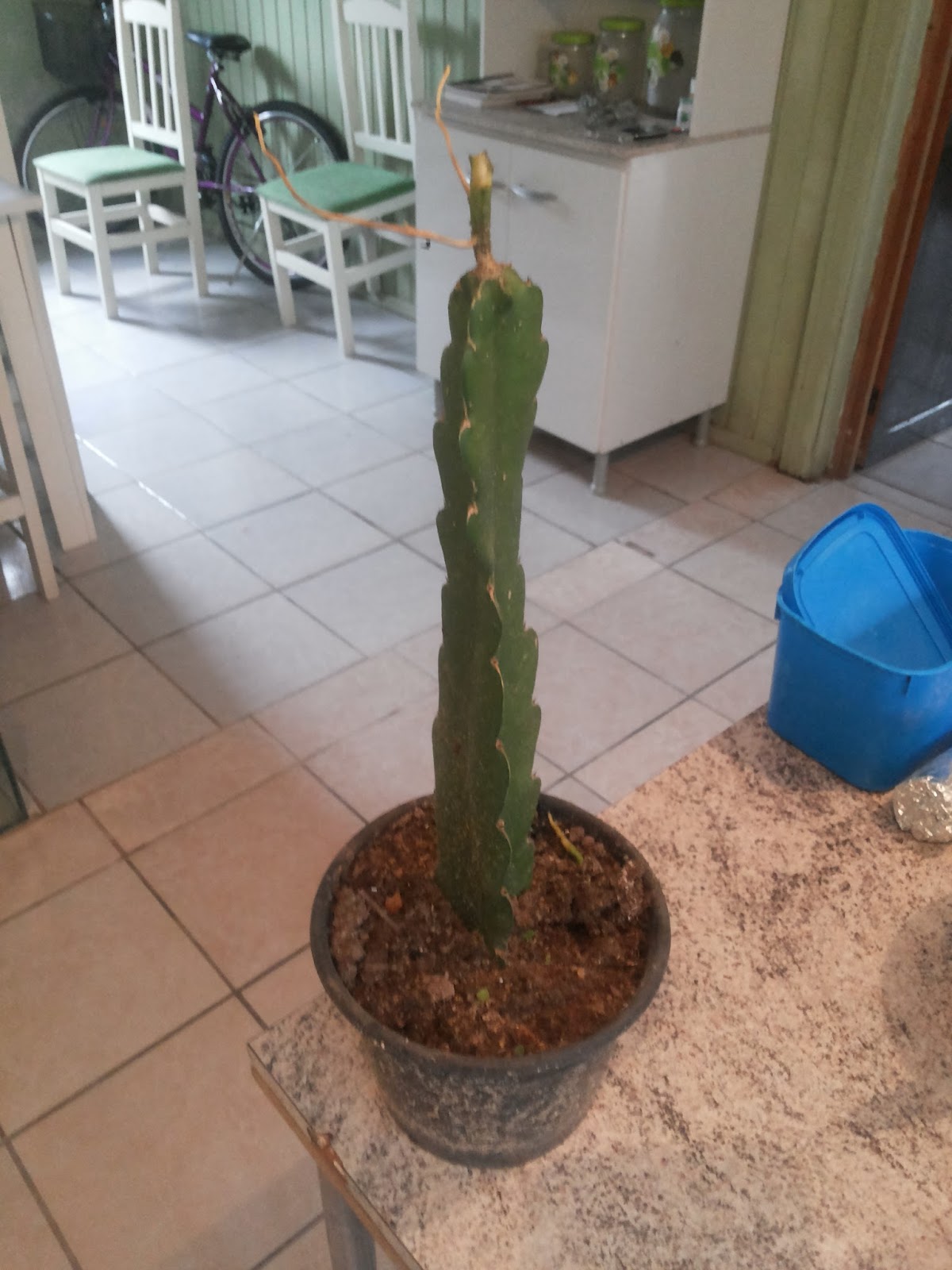 20160508_155656.jpg