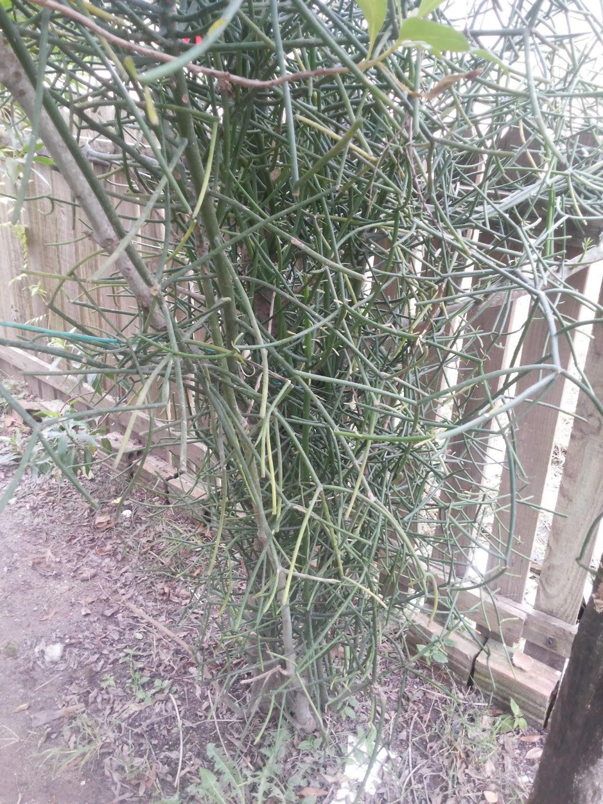 20160508_155723.jpg