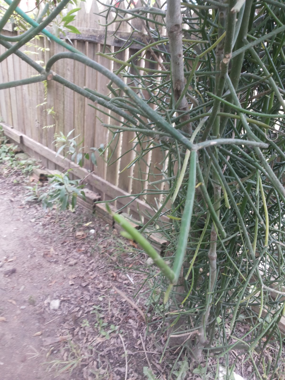 20160508_155742.jpg