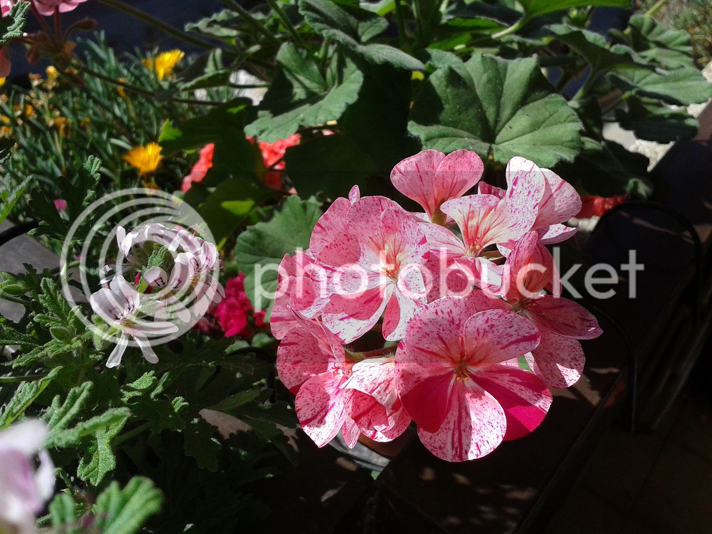 20160520_173830.jpg