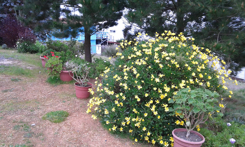 20160723_115951.jpg